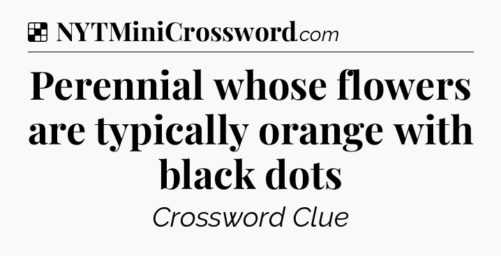 Solution: Perennial whose flowers are typically orange with black dots - NYT Crossword