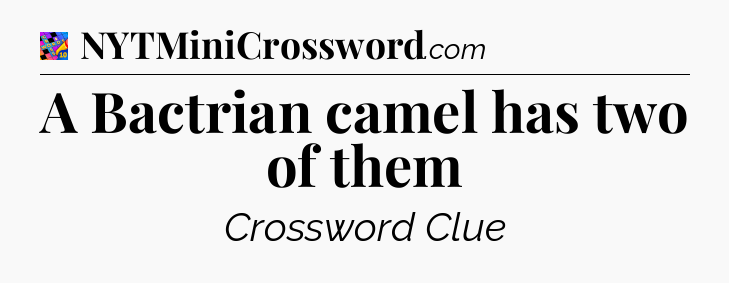 A Bactrian camel has two of them Crossword Clue