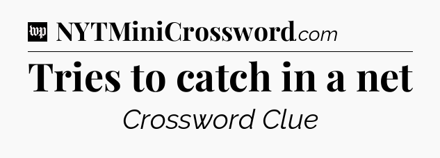 Tries to catch in a net Crossword Clue