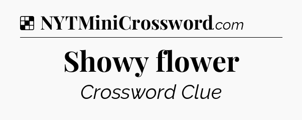 Solution: Showy flower - NYT Crossword