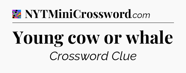Young cow or whale Crossword Clue