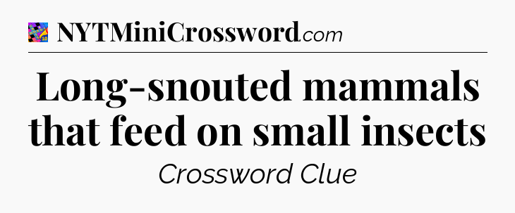 Long-snouted mammals that feed on small insects Crossword Clue