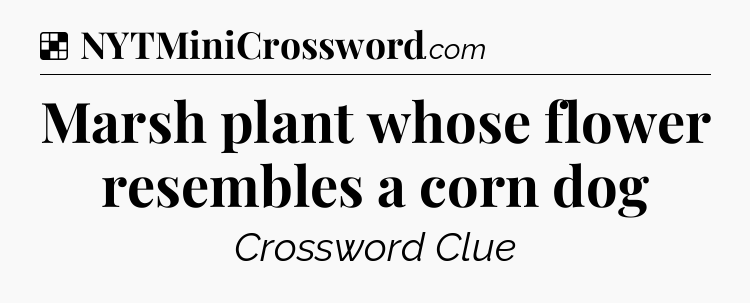 Solution: Marsh plant whose flower resembles a corn dog - NYT Crossword