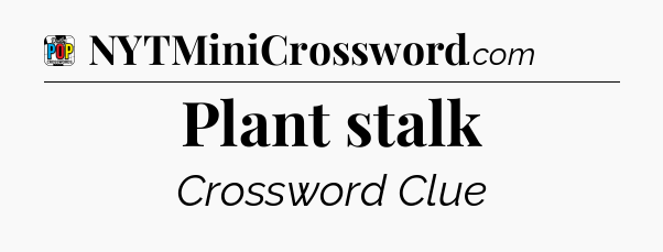 Plant stalk Crossword Clue