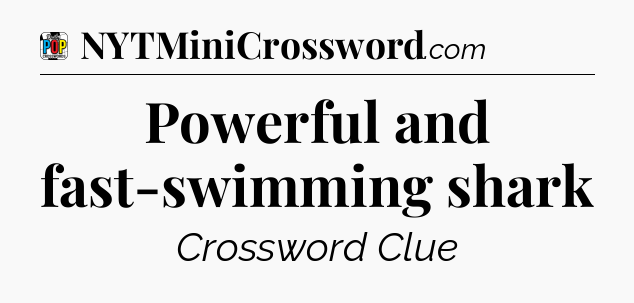 Powerful and fast-swimming shark Crossword Clue