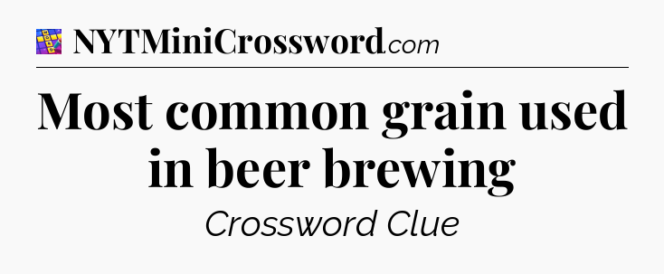 Most common grain used in beer brewing Codycross