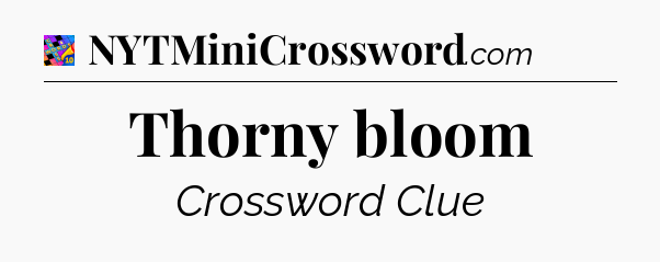 Thorny bloom Crossword Clue