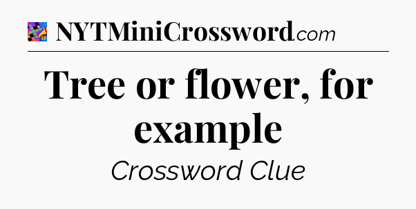 Tree or flower, for example Crossword Clue