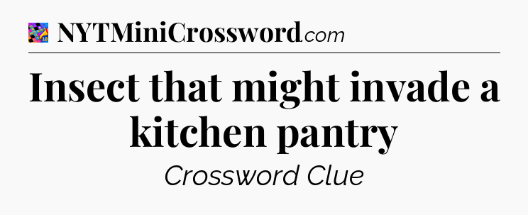 Insect that might invade a kitchen pantry Crossword Clue