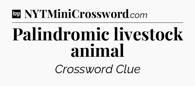Palindromic livestock animal Crossword Clue