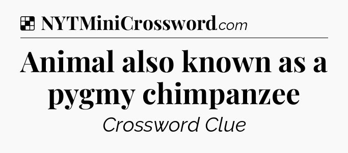Solution: Animal also known as a pygmy chimpanzee - NYT Crossword