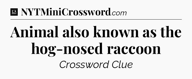 Animal also known as the hog-nosed raccoon - LA Times Crossword