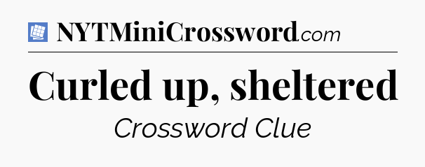 Curled up, sheltered Puzzle Page Crossword Clue