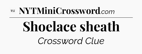 Shoelace sheath - WSJ Crossword