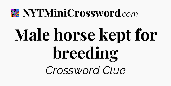 Male horse kept for breeding Crossword Clue