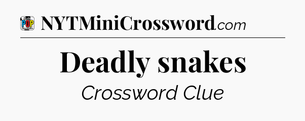 Deadly snakes Crossword Clue