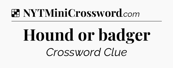 Solution: Hound or badger - NYT Crossword