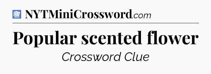 Popular scented flower Puzzle Page Crossword Clue