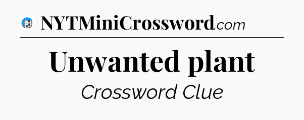 Unwanted plant Crossword Clue