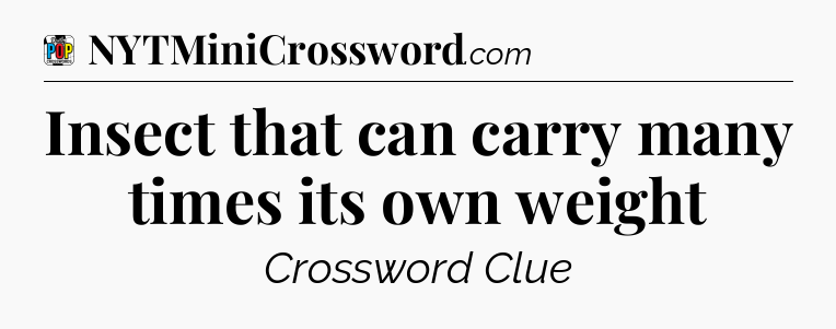 Insect that can carry many times its own weight Crossword Clue