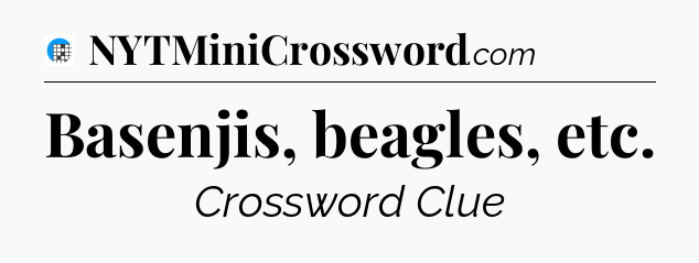 Basenjis, beagles, etc Crossword Clue