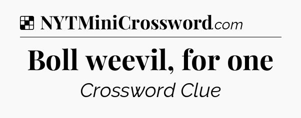 Solution: Boll weevil, for one - NYT Crossword