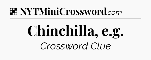 Solution: Chinchilla, e.g - NYT Crossword