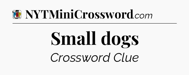 Small dogs Crossword Clue