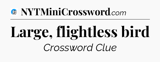 Large, flightless bird Crossword Clue