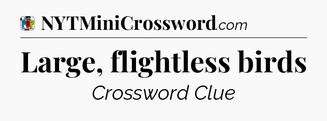 Large, flightless birds Crossword Clue