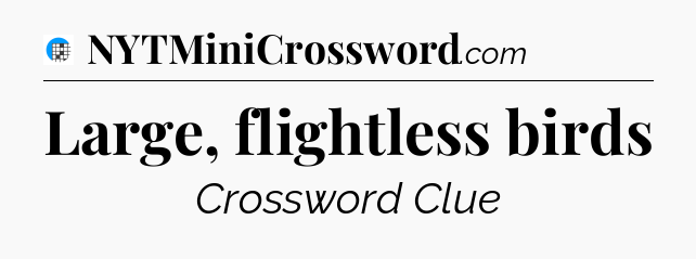 Large, flightless birds Crossword Clue