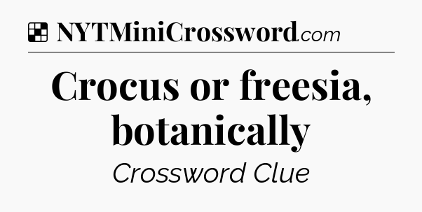 Solution: Crocus or freesia, botanically - NYT Crossword