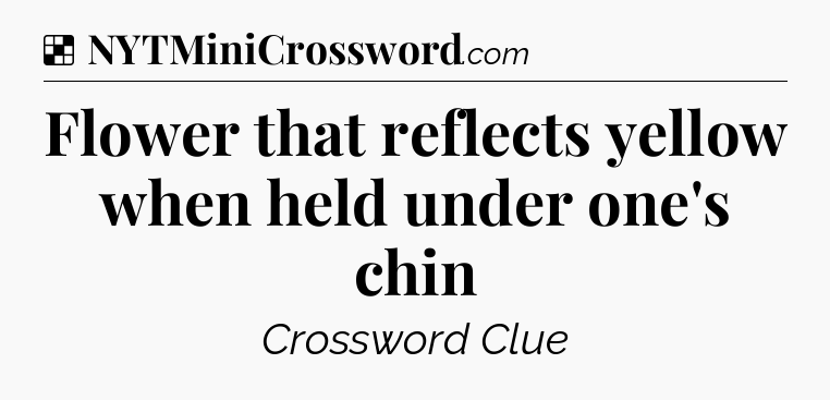 Solution: Flower that reflects yellow when held under one's chin - NYT Crossword