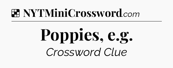 Solution: Poppies, e.g - NYT Crossword