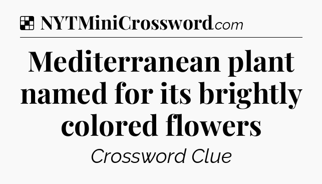 Solution: Mediterranean plant named for its brightly colored flowers - NYT Crossword