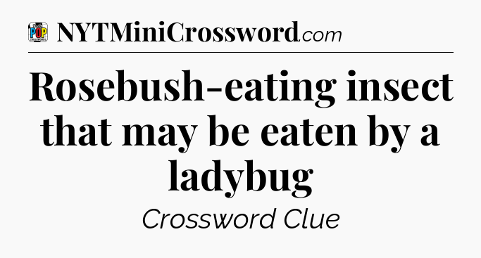 Rosebush-eating insect that may be eaten by a ladybug Crossword Clue