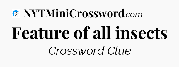 Feature of all insects Crossword Clue