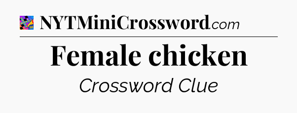 Female chicken Crossword Clue
