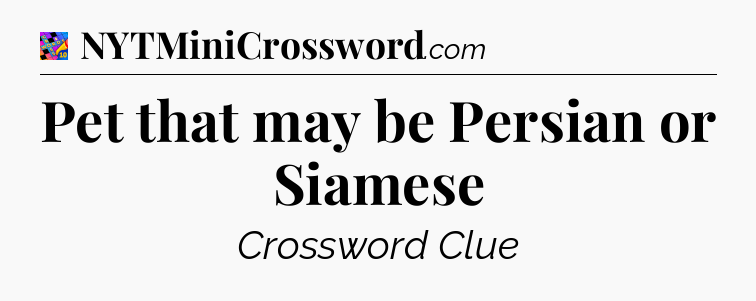 Pet that may be Persian or Siamese Crossword Clue