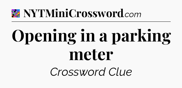 Opening in a parking meter Crossword Clue