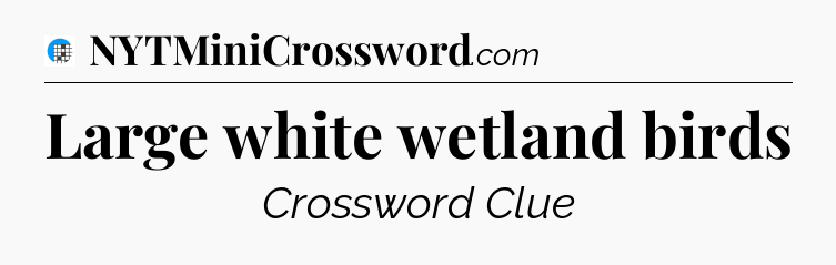Large white wetland birds Crossword Clue
