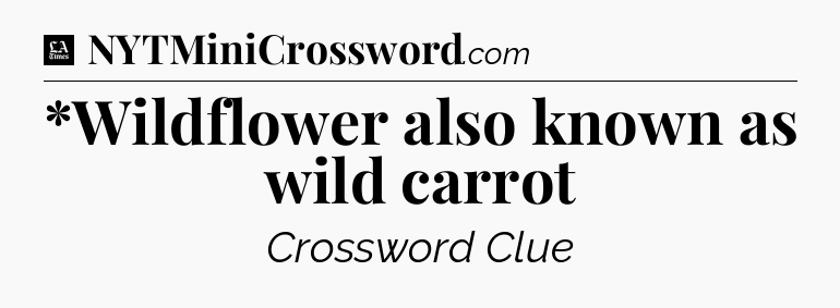 *Wildflower also known as wild carrot - LA Times Crossword