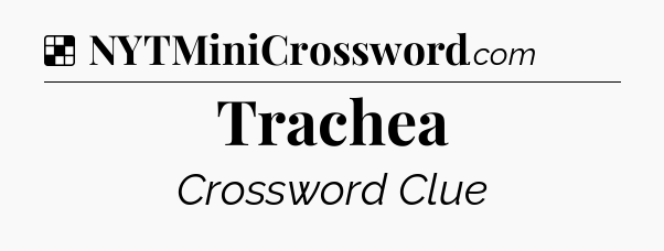 Solution: Trachea - NYT Crossword