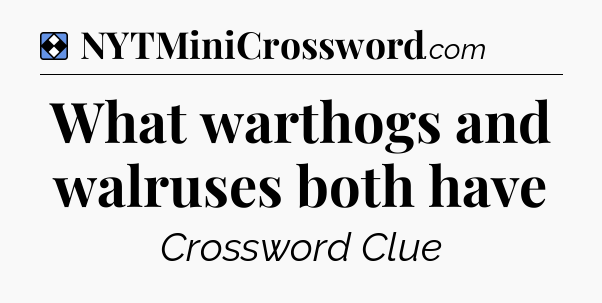 Solution: What warthogs and walruses both have - NYT Mini Crossword