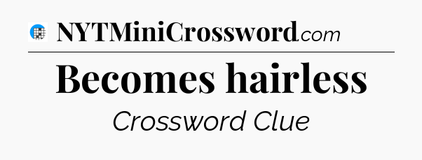 Becomes hairless Crossword Clue
