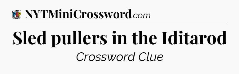 Sled pullers in the Iditarod Crossword Clue