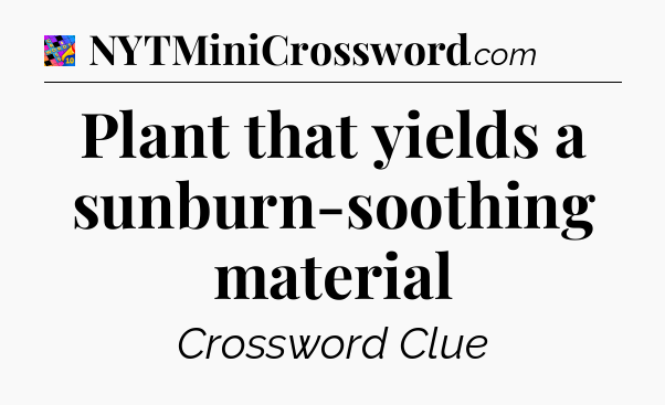 Plant that yields a sunburn-soothing material Crossword Clue