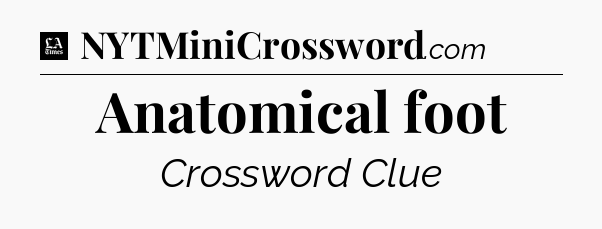 Anatomical foot - LA Times Crossword