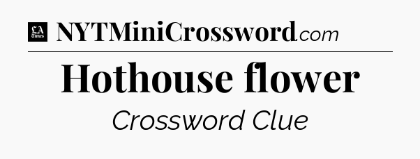 Hothouse flower - LA Times Crossword