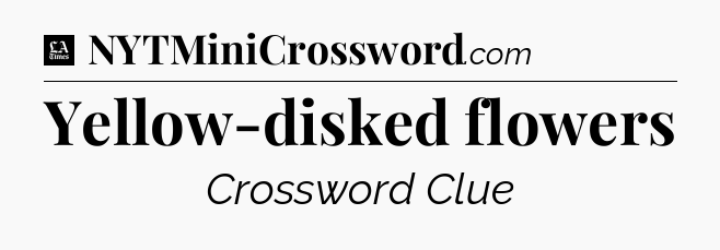 Yellow-disked flowers - LA Times Crossword